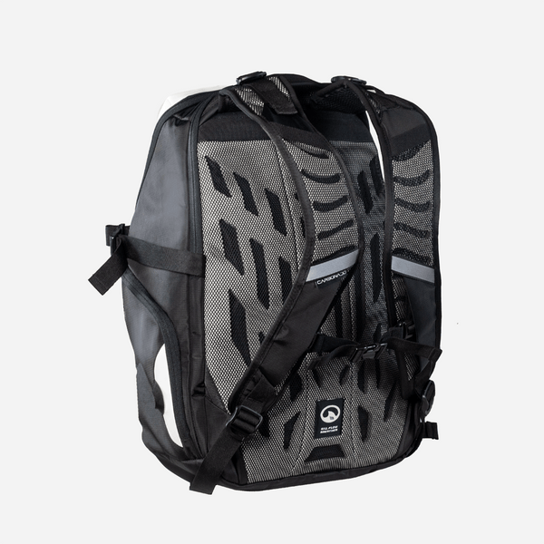 Beetle Backpack- Carbonado