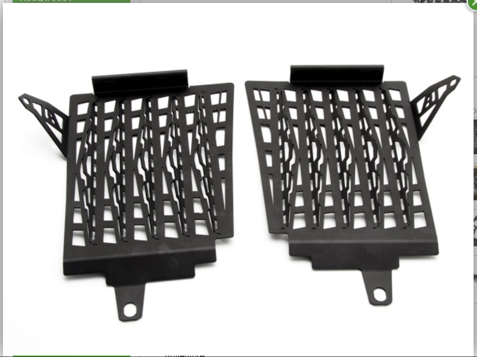 AltRider Radiator Guard for the BMW R 1250 GS Adventure Water Cooled - Black